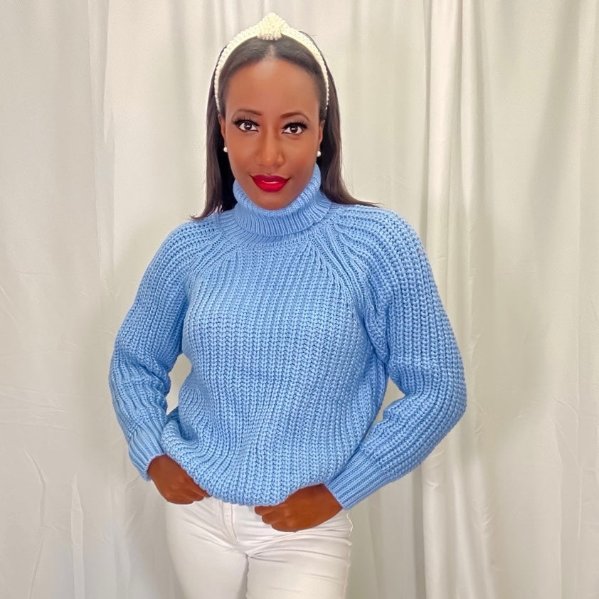 The Waffle Knitted Turtleneck Sweater